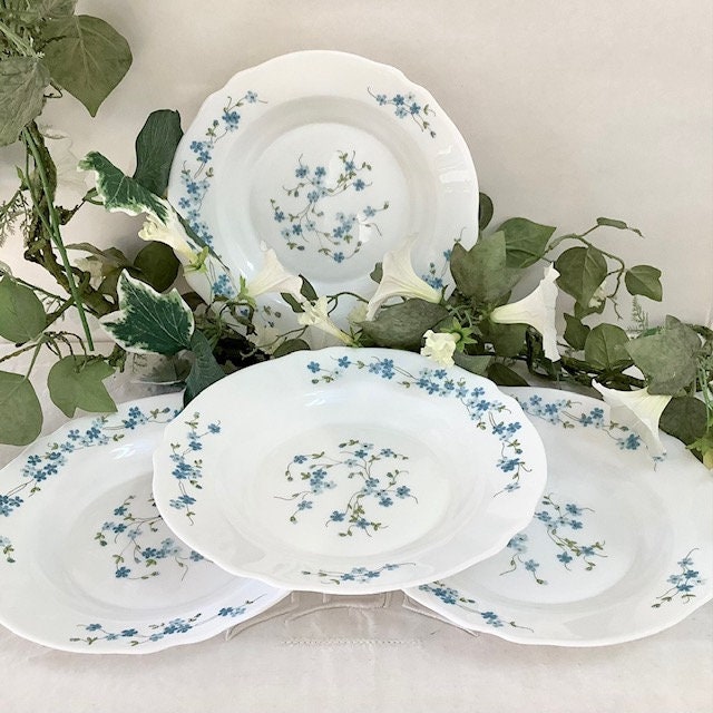 Lot De 6 Assiettes Creuses Arcopal Véronica - Motif Myosotis - En Verre - Comme Neuves