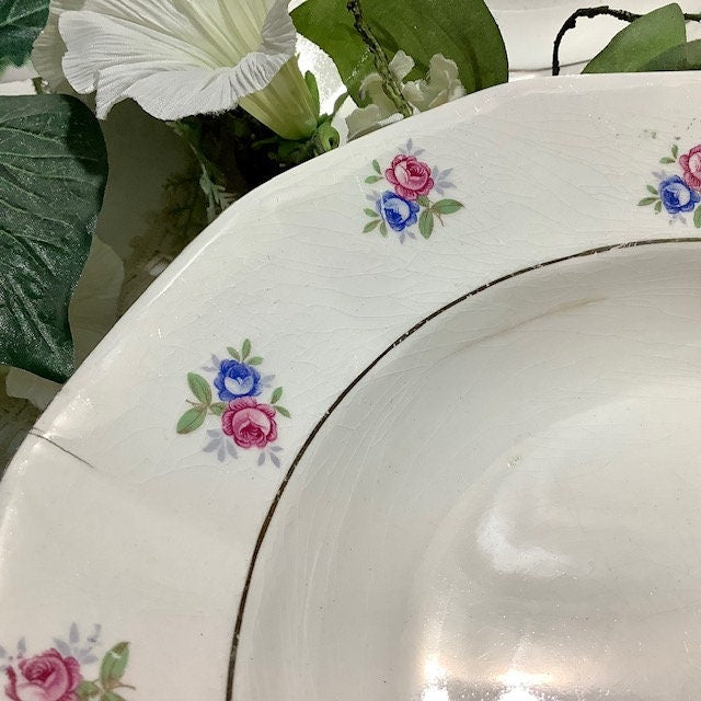 Assiettes creuses faïence Digoin Sarreguemines vintage