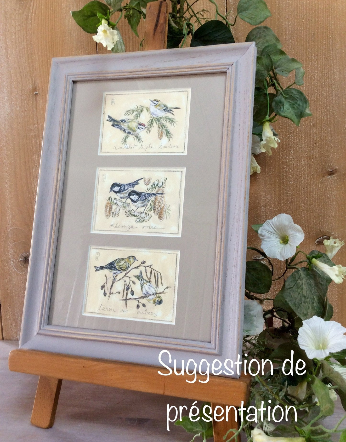 Sérigraphie reproduction perroquet ara foucher poignant