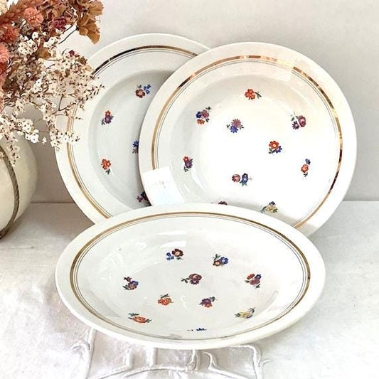 Assiettes creuses faïence Le moulin des loups Orchies vintage