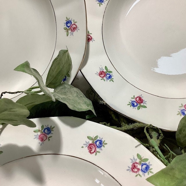 Assiettes creuses faïence Digoin Sarreguemines vintage