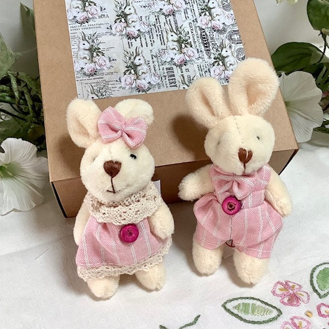 Petit lapin blanc peluche couple vêtements
