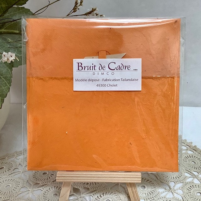 Carte postale enveloppe libellule papier artisanal bruit de cadre