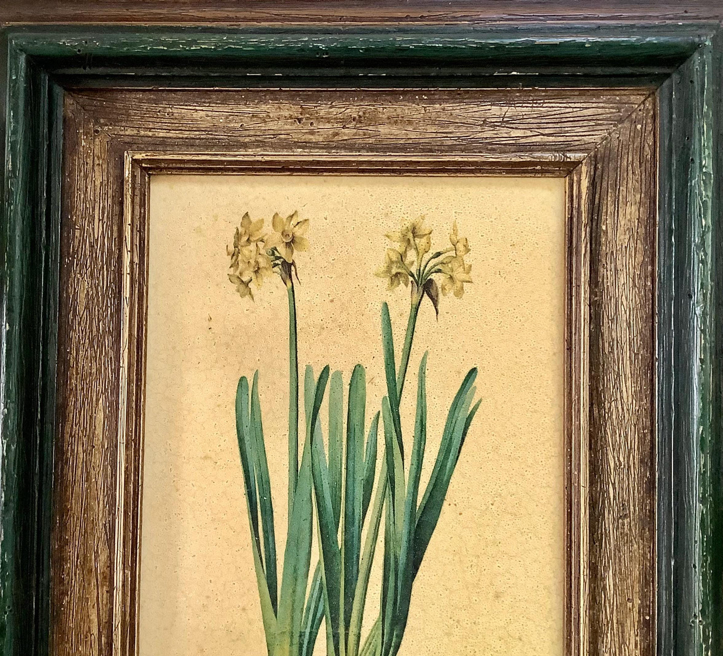 Tableau botanique narcisse peinture originale  sur bois vintage 23 x 34