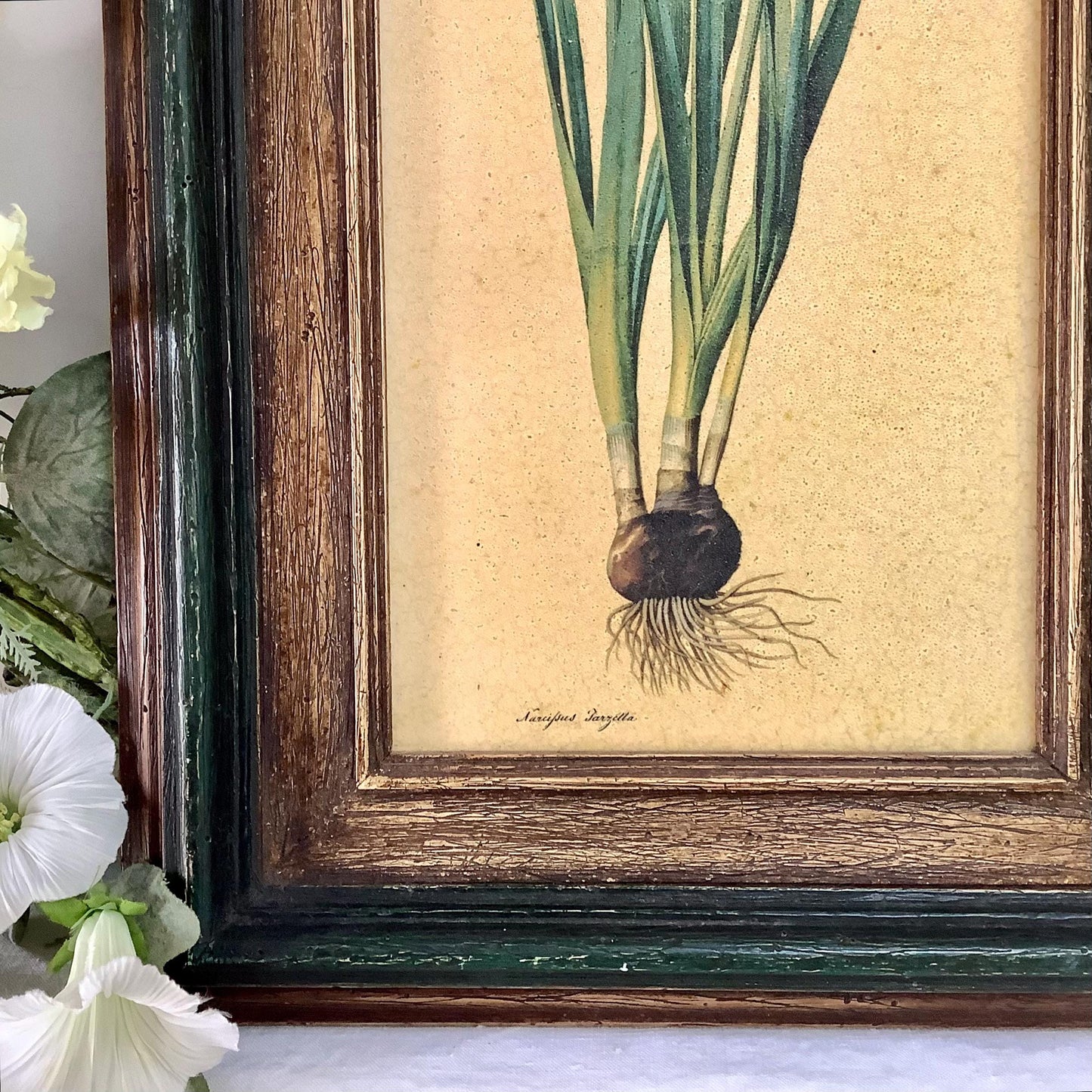 Tableau botanique narcisse peinture originale  sur bois vintage 23 x 34