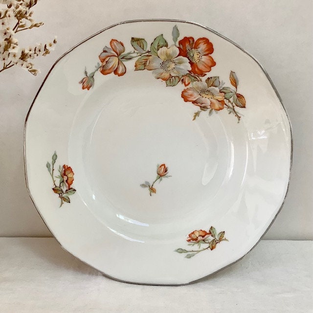 Assiettes creuses porcelaine roses vintage