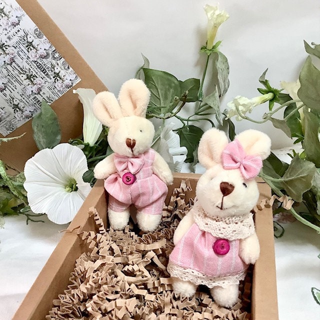 Petit lapin blanc peluche couple vêtements