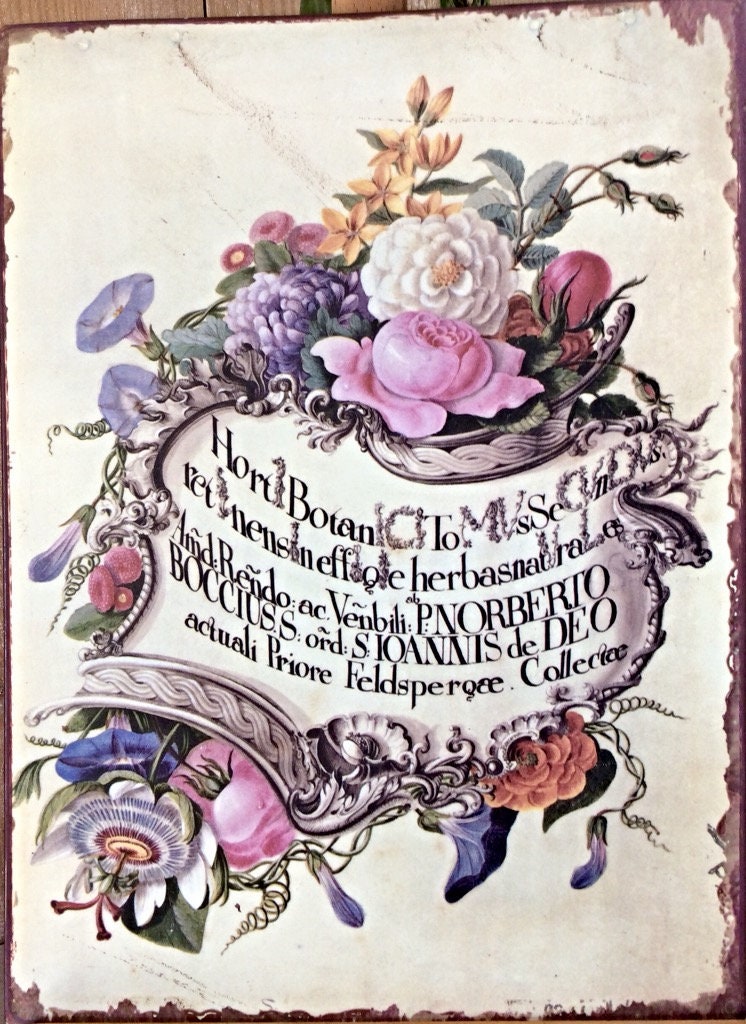 Plaque métal herboristerie botanique vintage modèle B