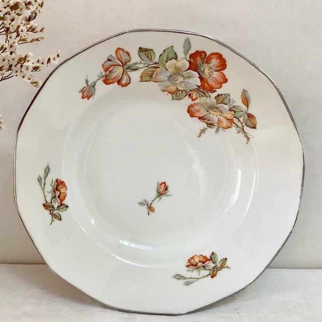 Assiettes creuses porcelaine roses vintage