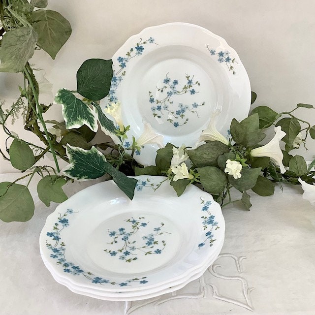 Assiettes creuses Arcopal vintage 80 veronica