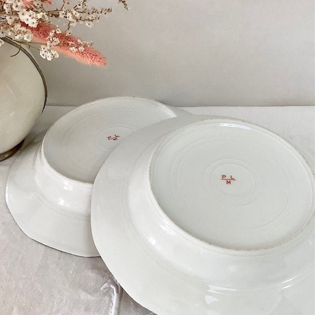 Assiettes creuses porcelaine roses vintage