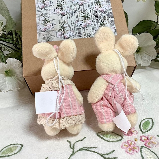 Petit lapin blanc peluche couple vêtements