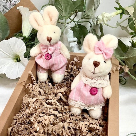Petit lapin blanc peluche couple vêtements