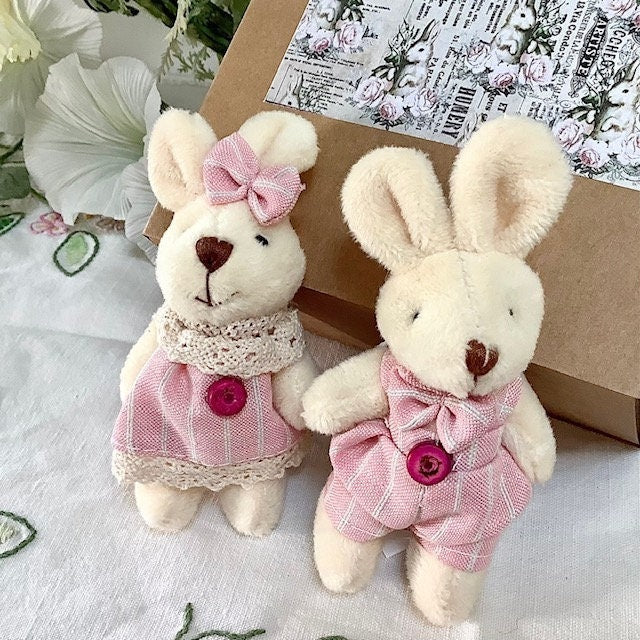 Petit lapin blanc peluche couple vêtements