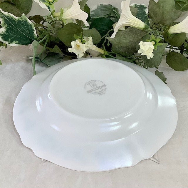 Assiettes creuses Arcopal vintage 80 veronica