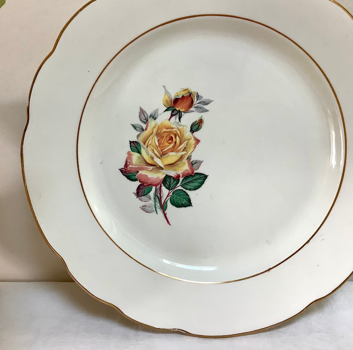 Plat creux et  plat  faïence Gien Gardanne vintage