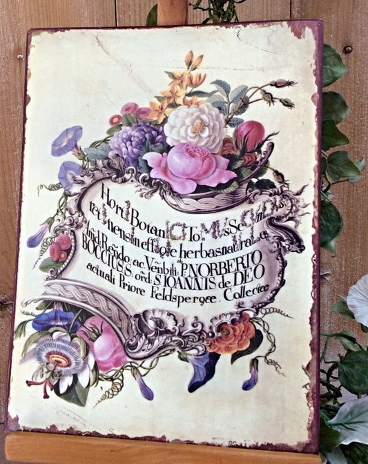 Plaque métal herboristerie botanique vintage modèle B