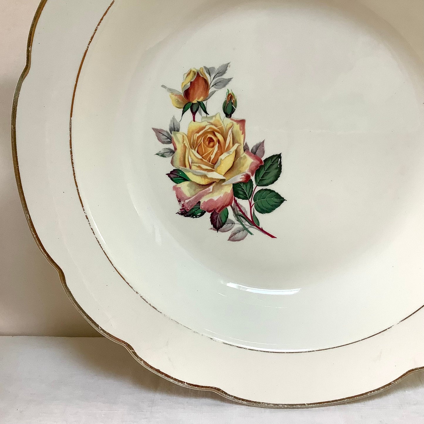 Plat creux et  plat  faïence Gien Gardanne vintage