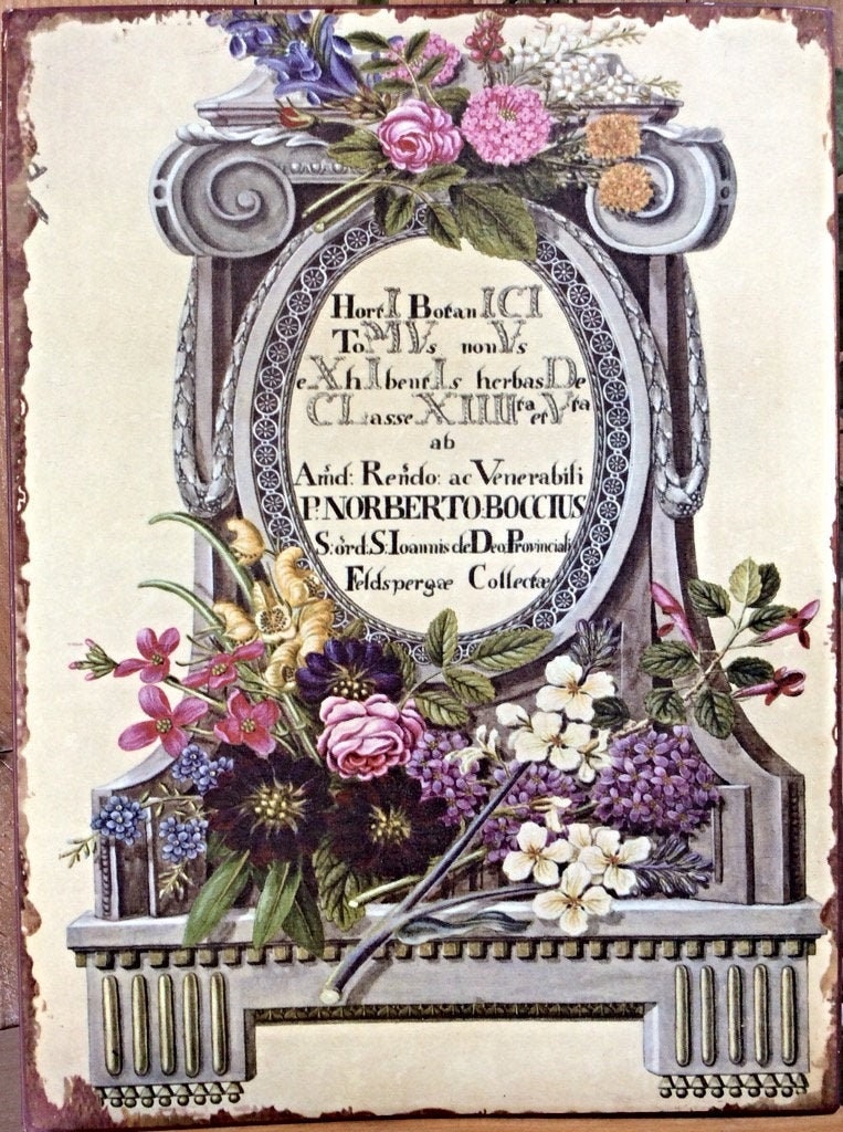 Plaque métal herboristerie botanique vintage modèle C