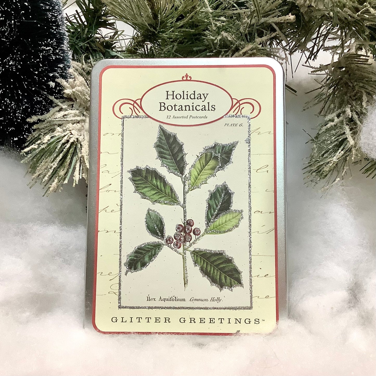 Coffret métal cartes pailletées botaniques vintage Holiday Botanicals &nbsp;Cavallini&amp;Co
