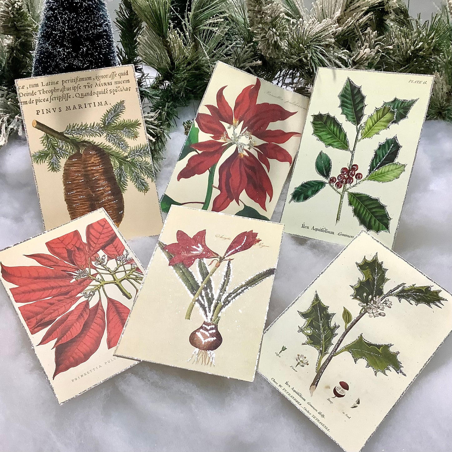 Coffret métal cartes pailletées botaniques vintage Holiday Botanicals &nbsp;Cavallini&amp;Co