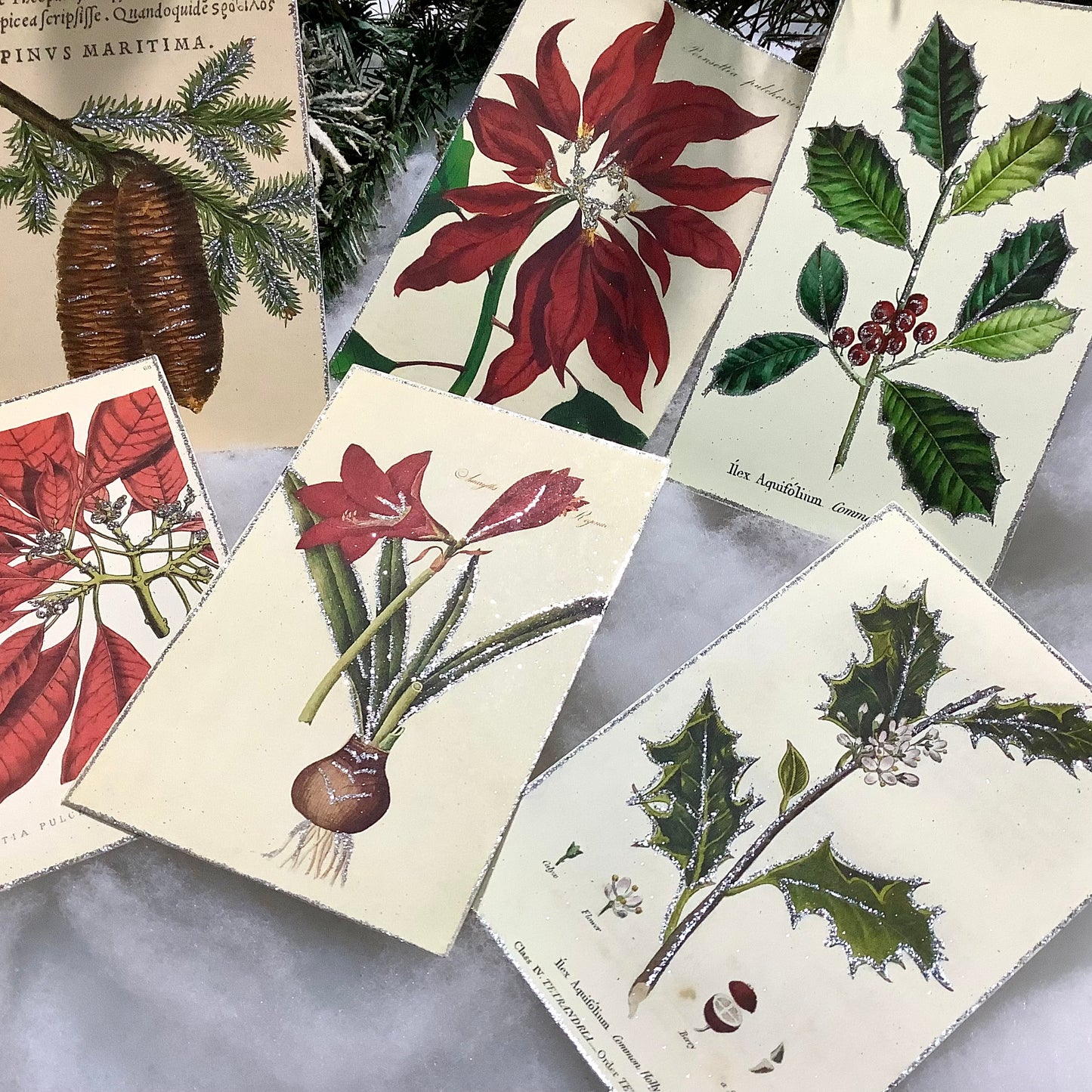 Coffret métal cartes pailletées botaniques vintage Holiday Botanicals &nbsp;Cavallini&amp;Co