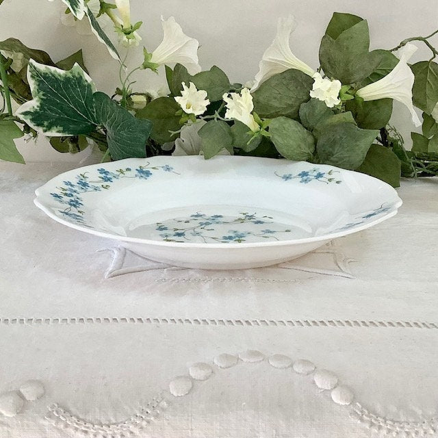 Assiettes creuses Arcopal vintage 80 veronica