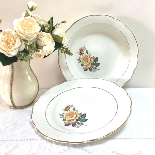 Plat creux et  plat  faïence Gien Gardanne vintage