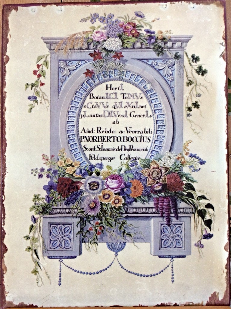 Plaque métal herboristerie botanique vintage modèle A