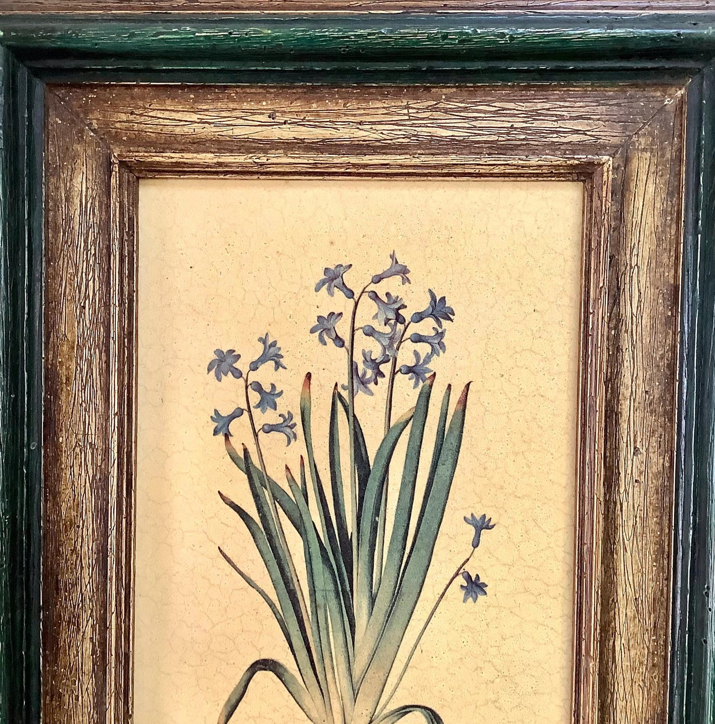 Tableau botanique hyacinthe orientale peinture originale sur bois  vintage 23 x 34