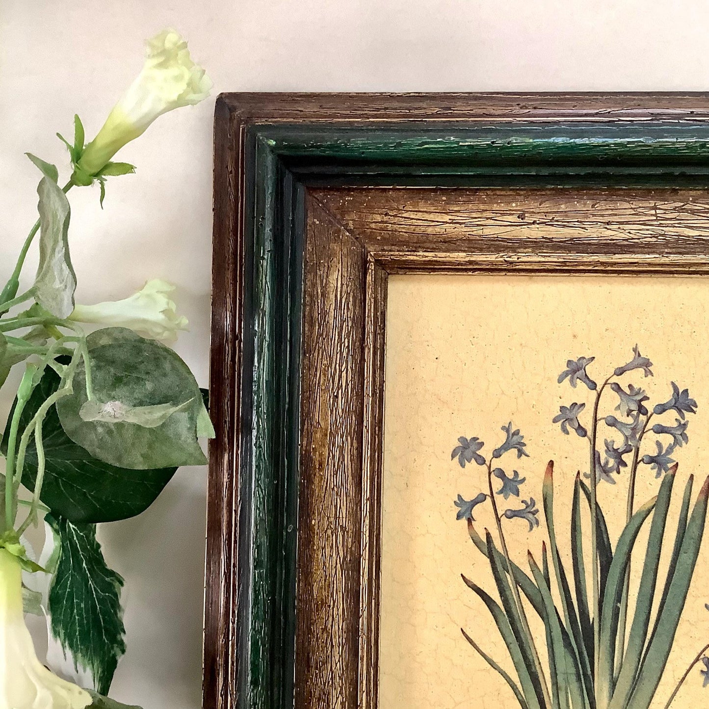 Tableau botanique hyacinthe orientale peinture originale sur bois  vintage 23 x 34