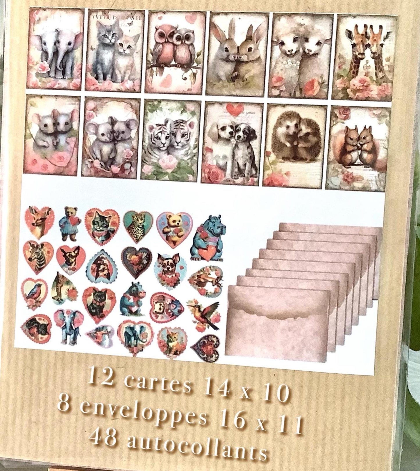 Images animaux mignons  12 cartes + 8 enveloppes + 48 autocollants