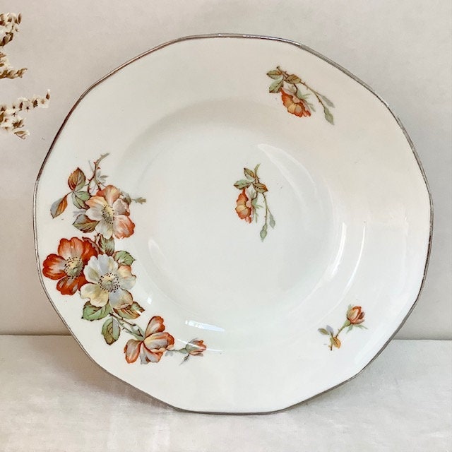 Assiettes creuses porcelaine roses vintage