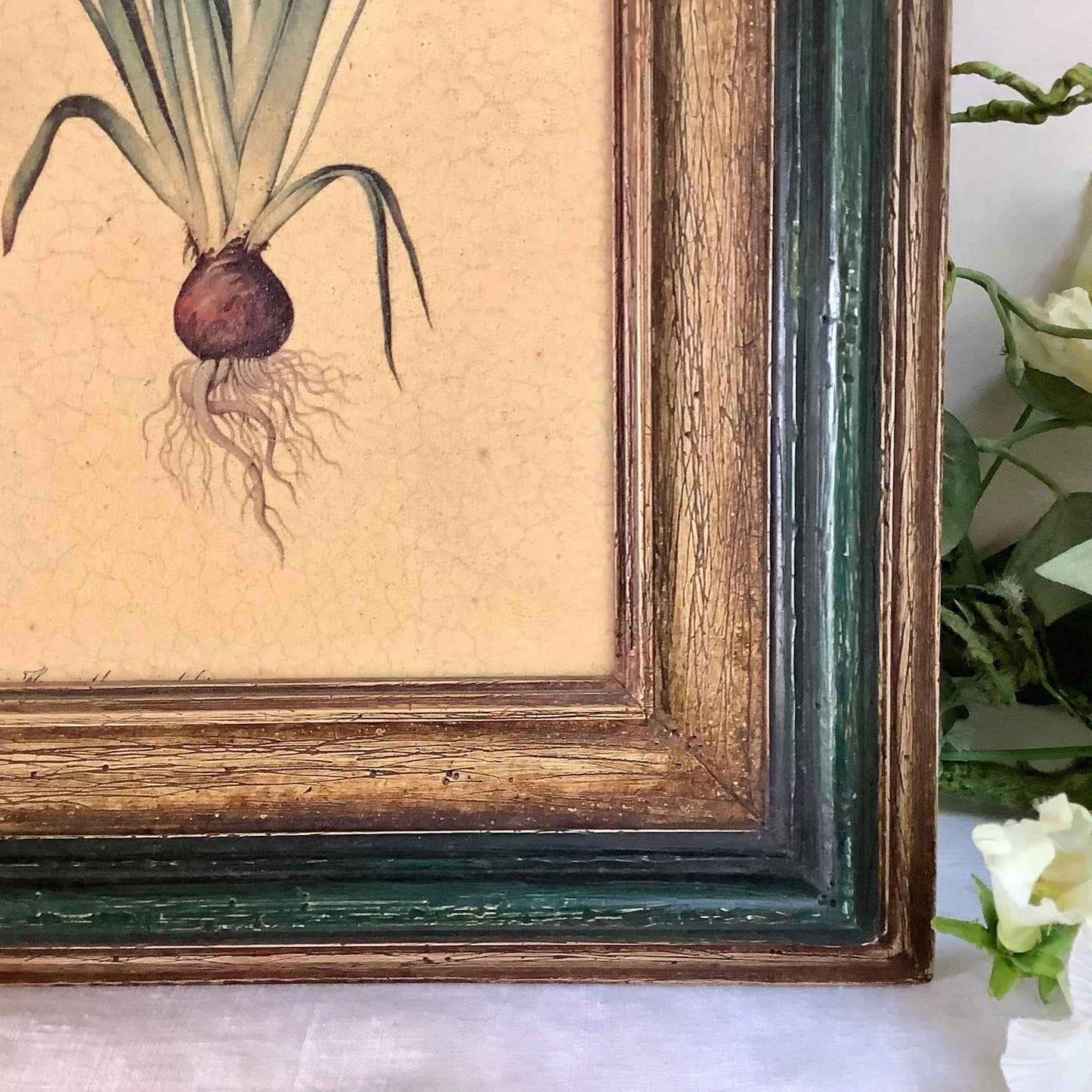 Tableau botanique hyacinthe orientale peinture originale sur bois  vintage 23 x 34