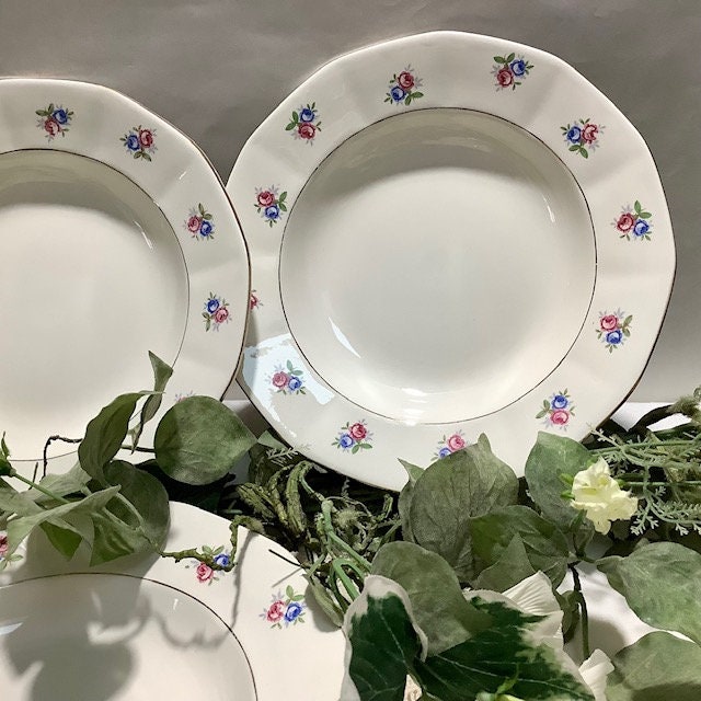 Assiettes creuses faïence Digoin Sarreguemines vintage