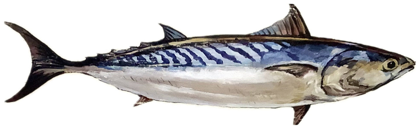 Accroche clés poisson modèle A  décoration marine  22 x 11