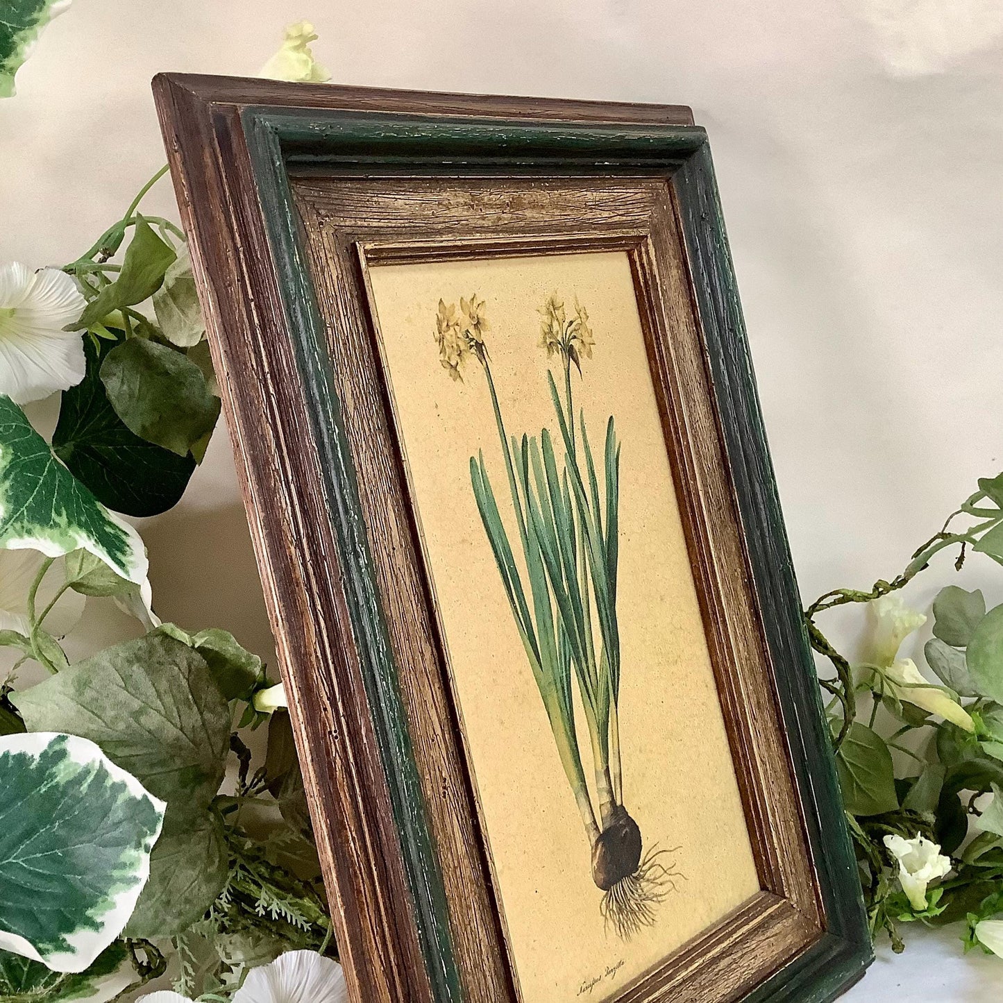 Tableau botanique narcisse peinture originale  sur bois vintage 23 x 34