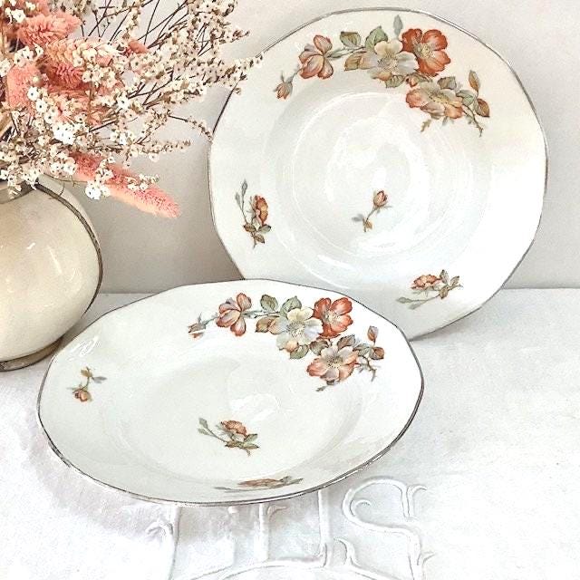 Assiettes creuses porcelaine roses vintage