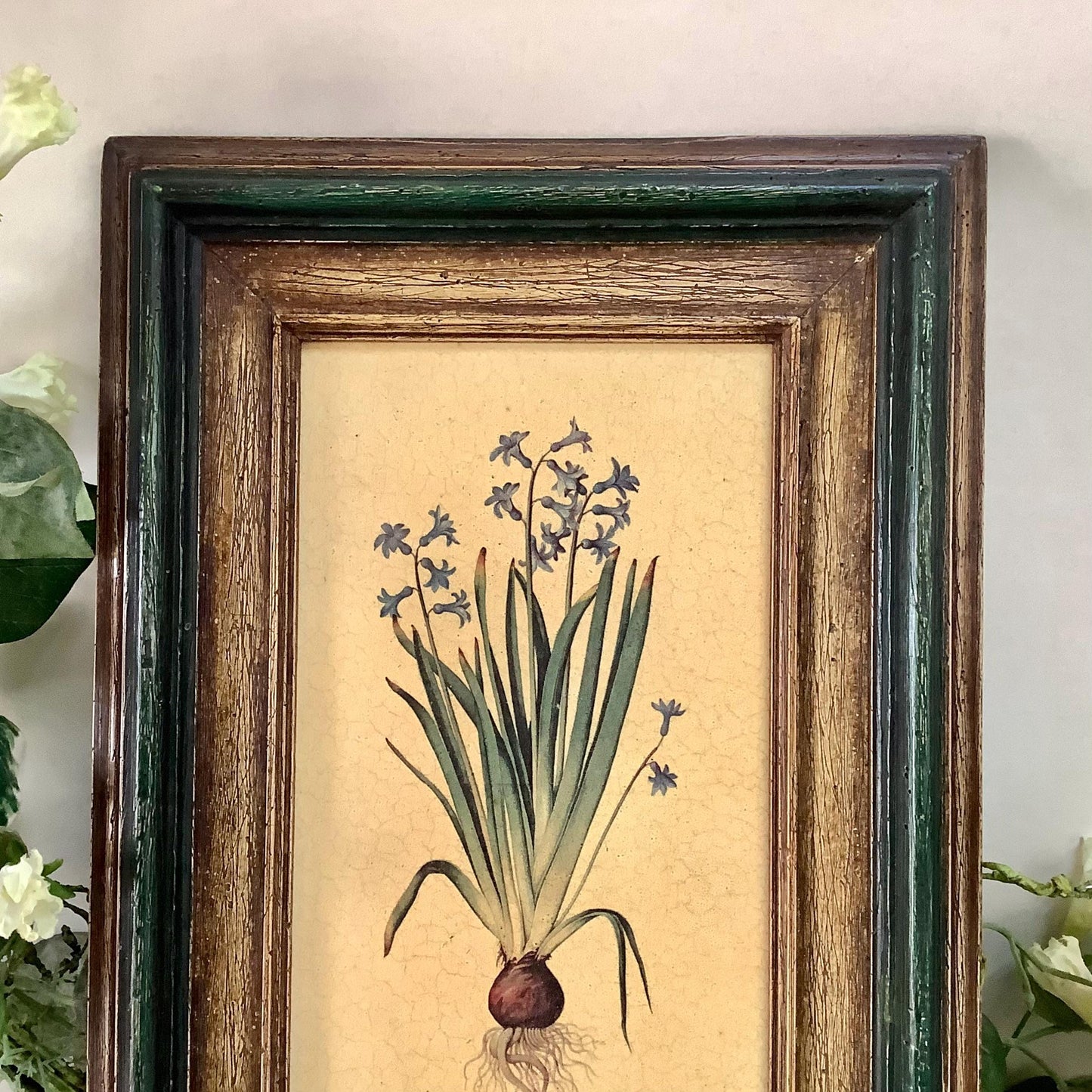 Tableau botanique hyacinthe orientale peinture originale sur bois  vintage 23 x 34