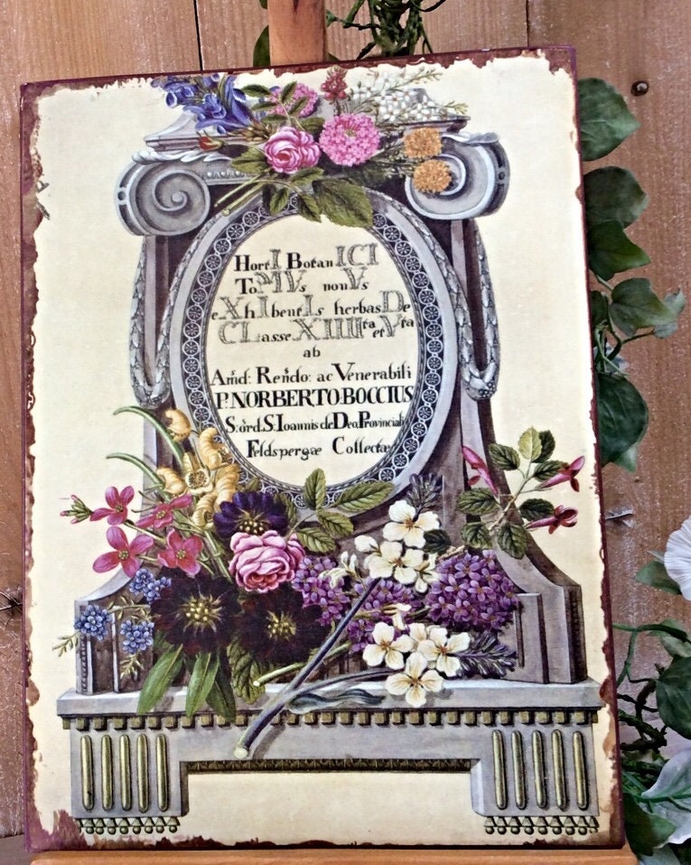 Plaque métal herboristerie botanique vintage modèle C