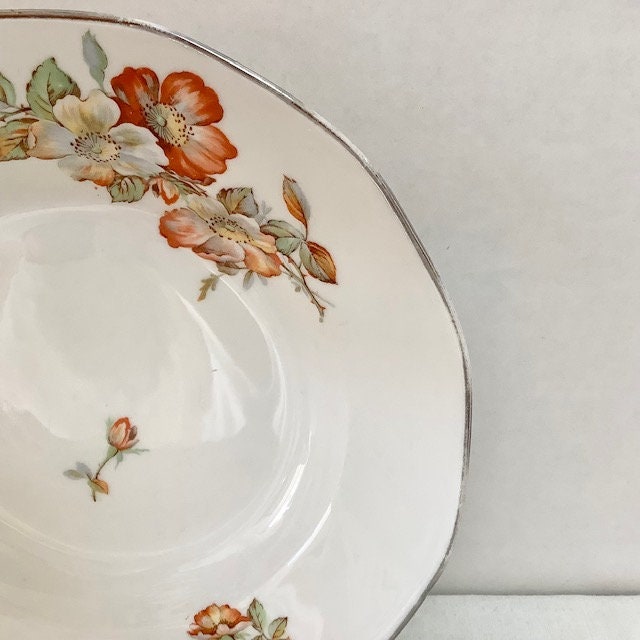 Assiettes creuses porcelaine roses vintage