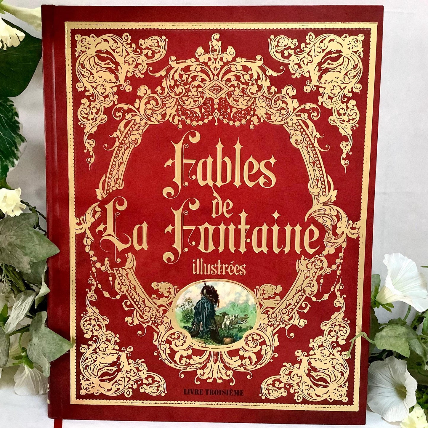 Fables de la fontaine illustrées livre troisième collection vintage