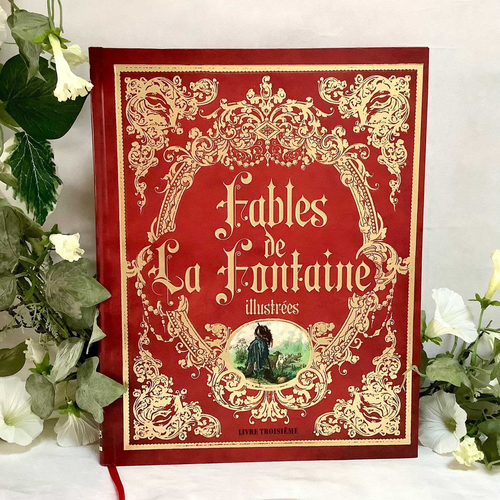 Fables de la Fontaine illustrées livre troisième collection vintage 25,5x32 cm, beau livre ancien