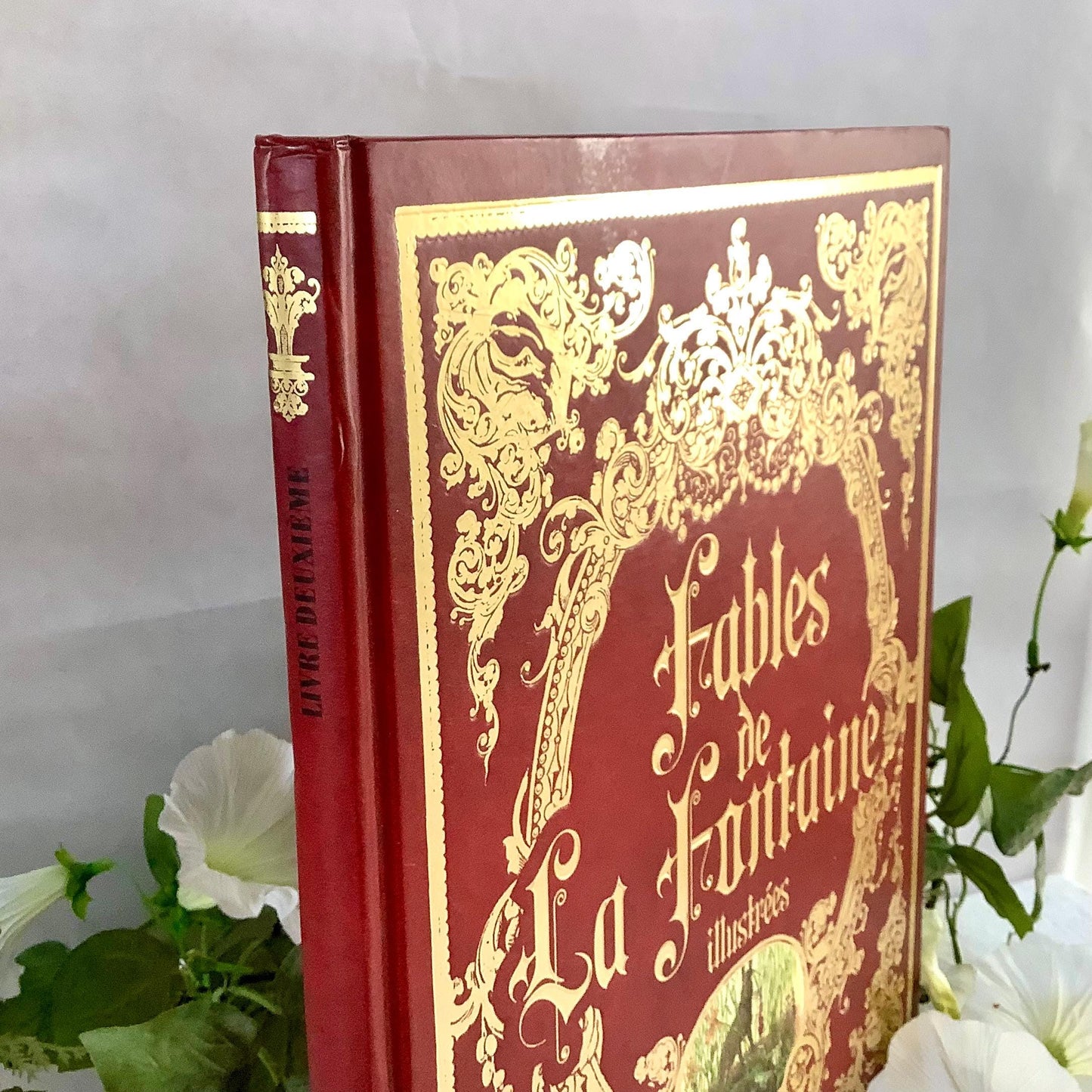 Fables de la fontaine illustrées livre deuxième collection vintage