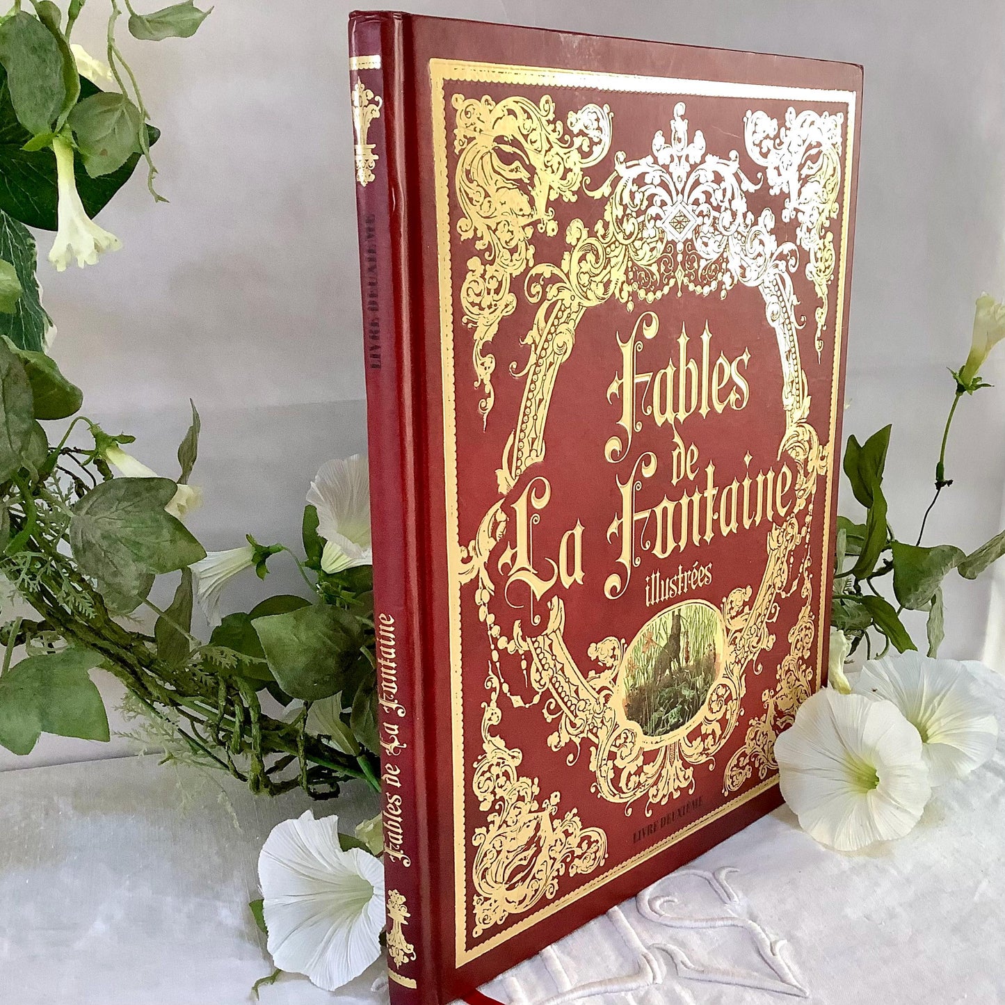 Fables de la fontaine illustrées livre deuxième collection vintage