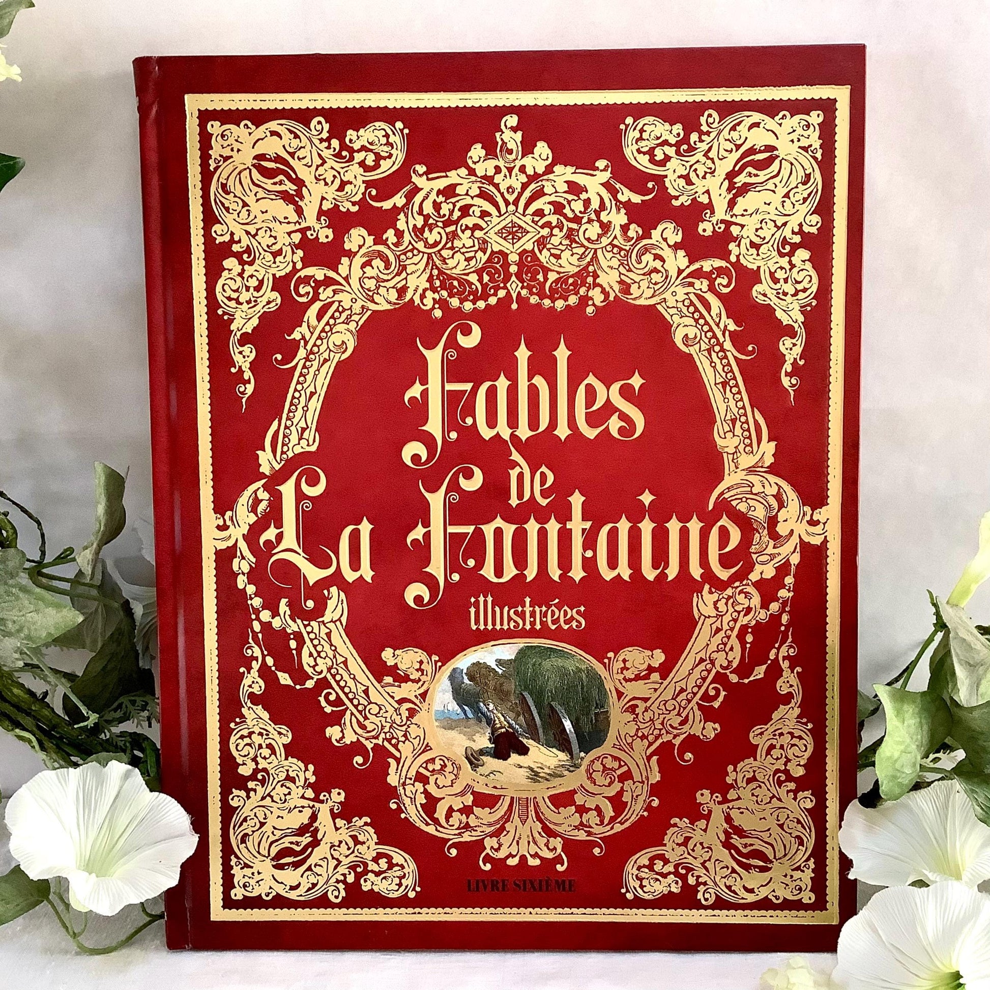 Fables de la fontaine illustrées livre sixième collection vintage