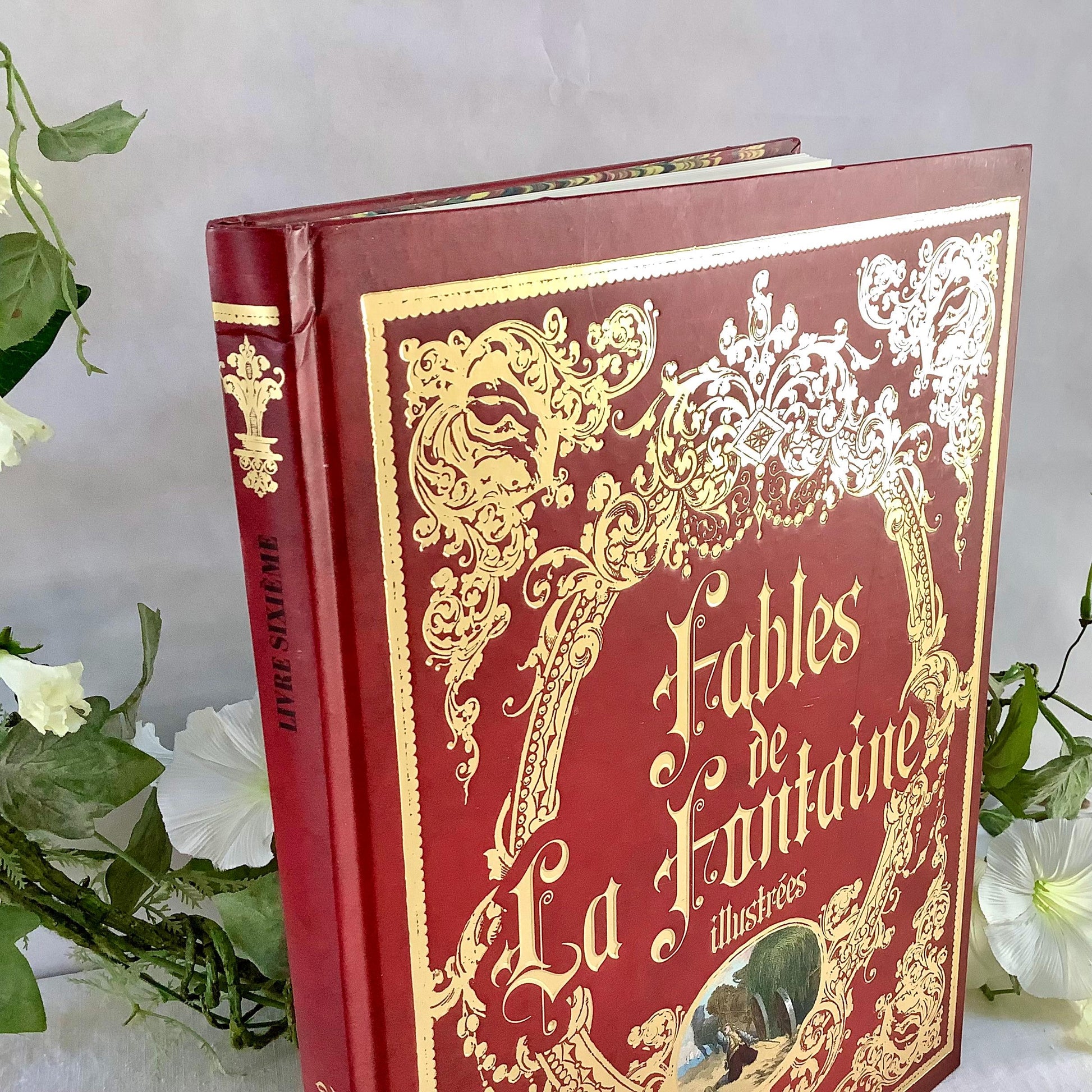 Fables de la fontaine illustrées livre sixième collection vintage