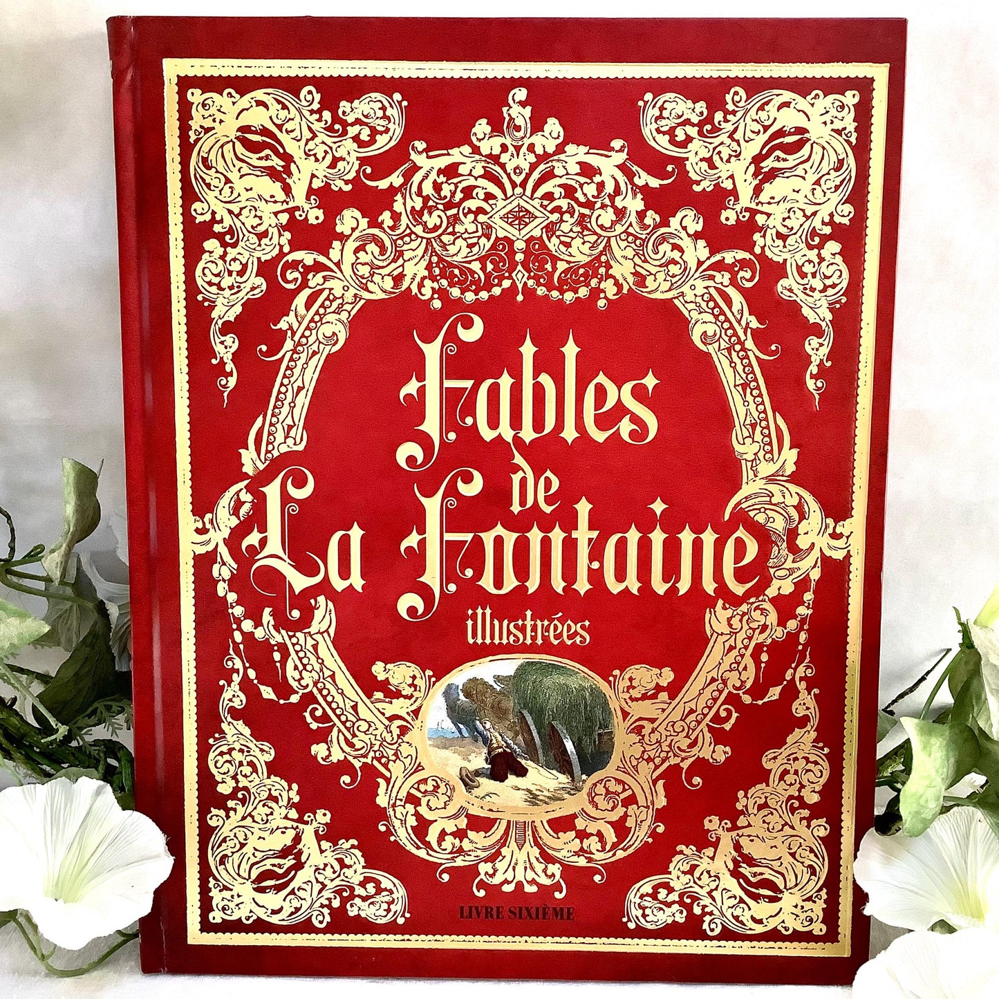Fables de la fontaine illustrées livre sixième collection vintage