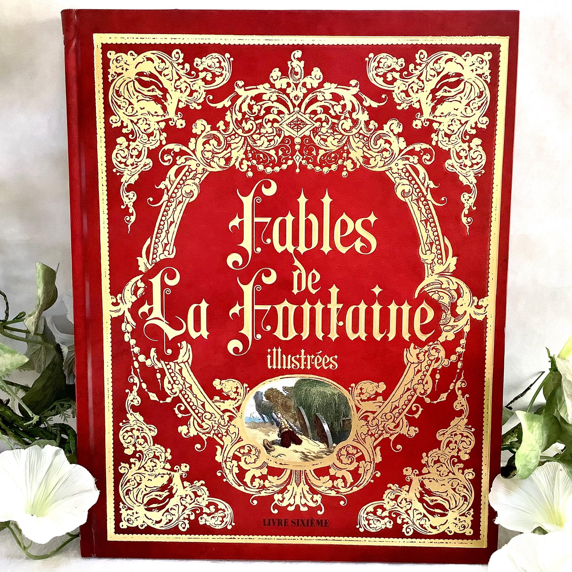 Fables de la fontaine illustrées livre sixième collection vintage