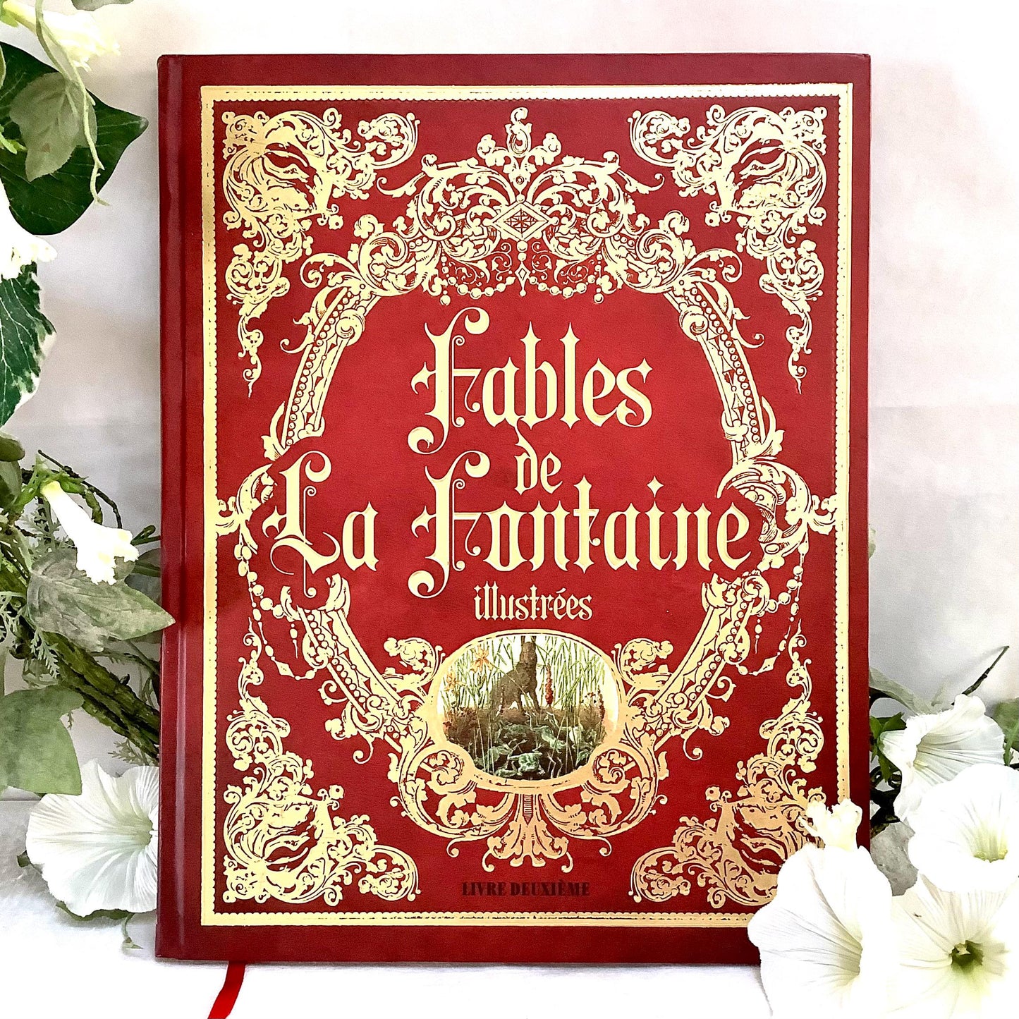 Fables de la fontaine illustrées livre deuxième collection vintage